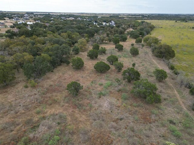 748 Buffalo Trl, Liberty Hill, TX 78642 - photo 28