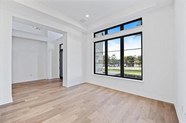 unfurnished room featuring a raised ceiling and light wood-type flooring