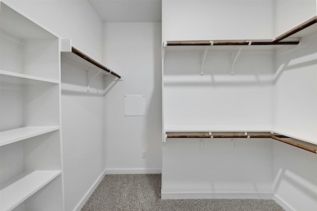 walk in closet with carpet flooring