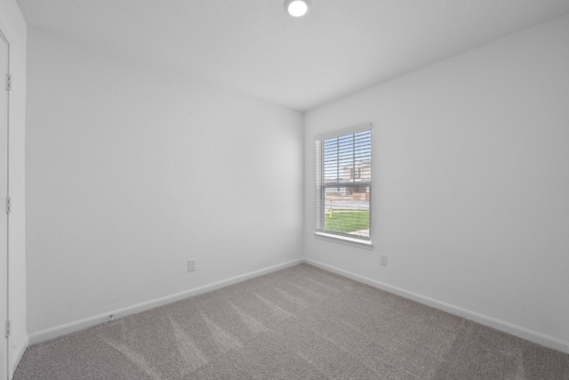 spare room featuring carpet flooring