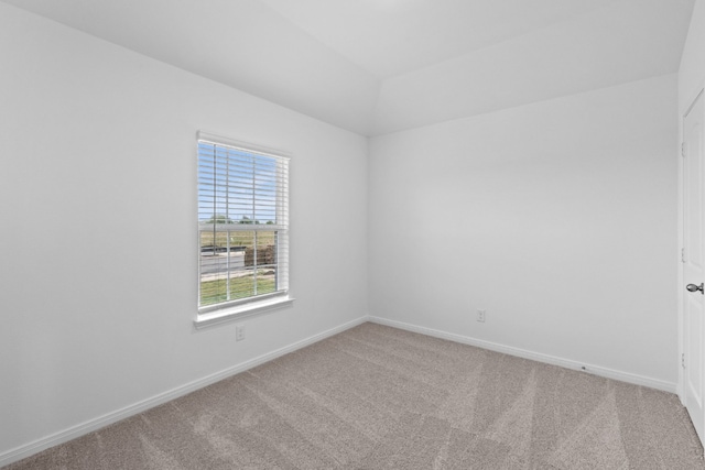 spare room featuring carpet floors