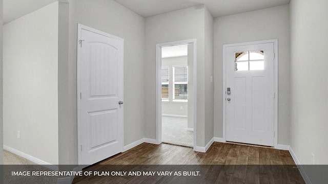 foyer with hardwood / wood-style floors and a healthy amount of sunlight