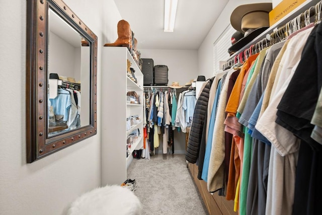 walk in closet featuring light colored carpet