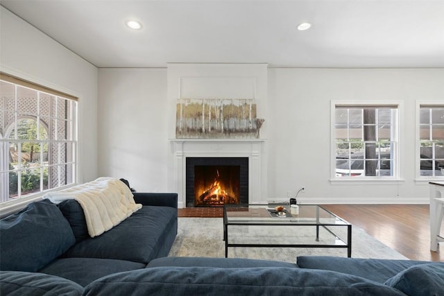 living room featuring light hardwood / wood-style floors and a healthy amount of sunlight