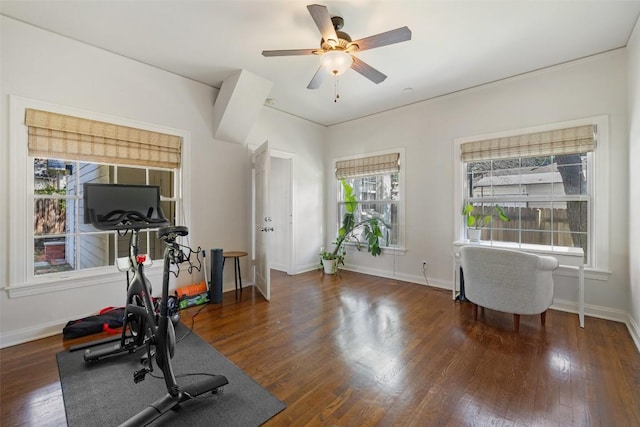 workout room with dark hardwood / wood-style floors and ceiling fan