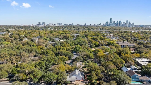 2612 Bridle Path, Austin, TX 78703 - bird's eye view of city skyline