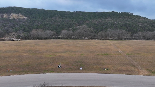 861 Bingham Ln, New Braunfels, TX 78132 - photo 8