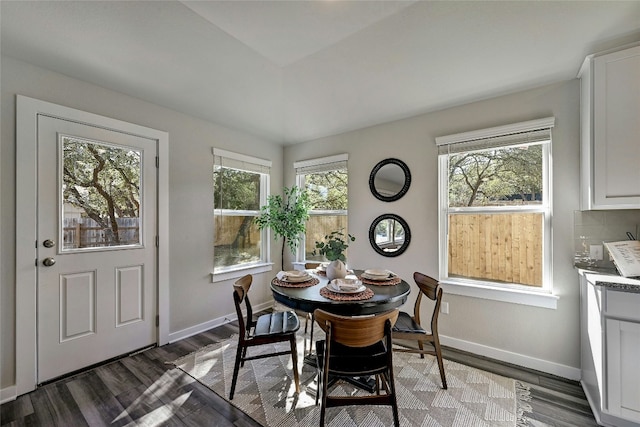 dining space featuring dark hardwood / wood-style flooring