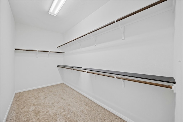 walk in closet featuring light colored carpet