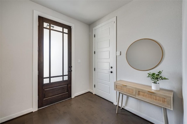 foyer entrance featuring dark hardwood / wood-style flooring and a wealth of natural light