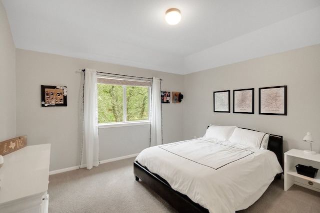 bedroom featuring carpet