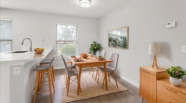 dining area with sink and dark hardwood / wood-style floors