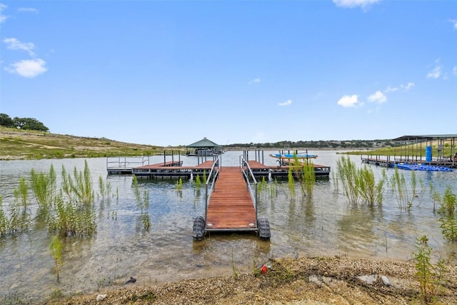 dock area with a water view