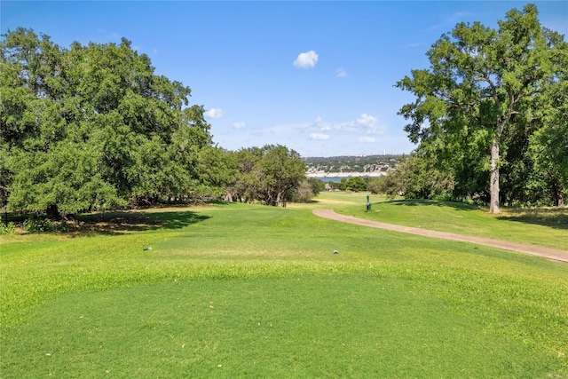 view of home's community featuring a yard