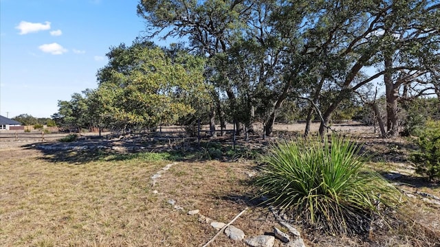 110 Antonio Perez, Blanco TX, 78606 land for sale