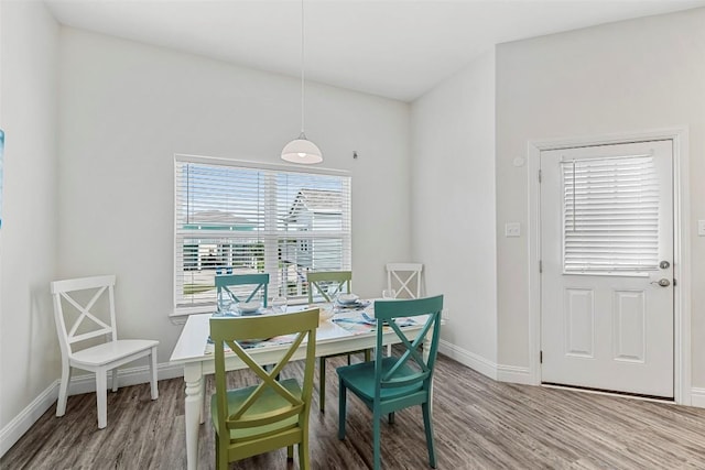 dining space featuring hardwood / wood-style floors