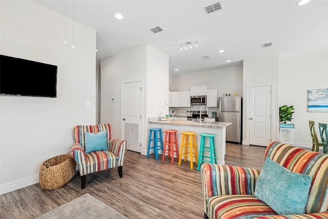 living room featuring sink and hardwood / wood-style flooring