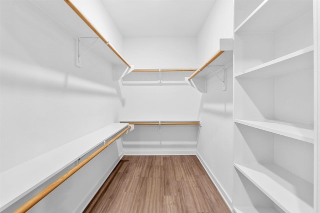 4361 S Congress Ave Unit 333, Austin, TX 78745 - walk in closet with wood finished floors
