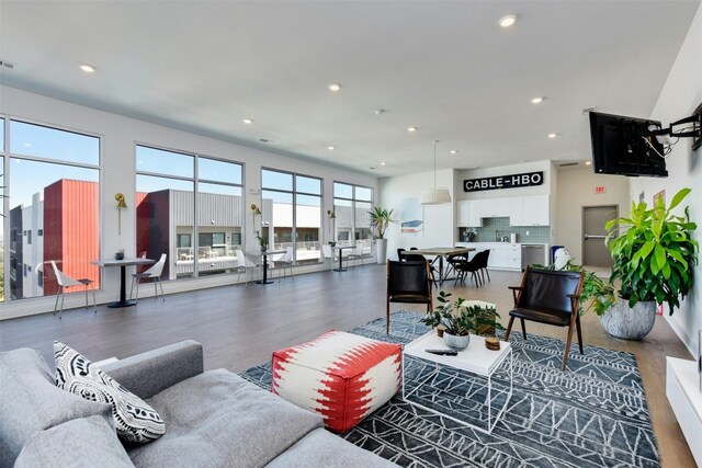 living room with dark hardwood / wood-style flooring