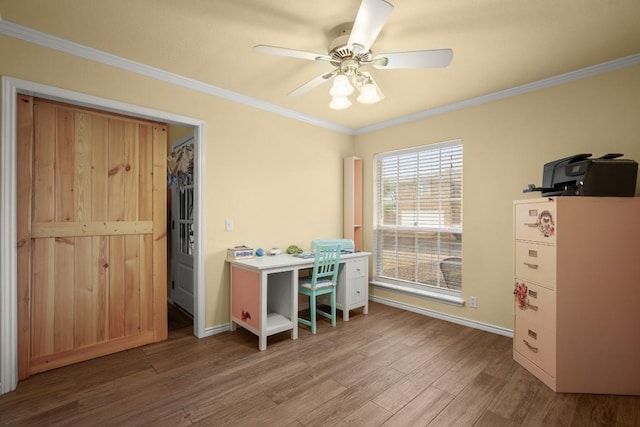 office space with ceiling fan, ornamental molding, and wood-type flooring