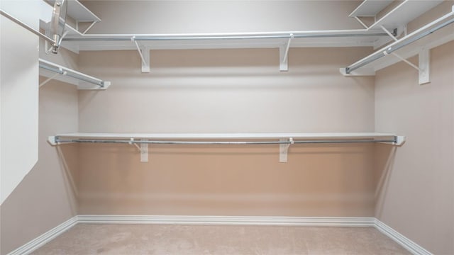 walk in closet with light colored carpet