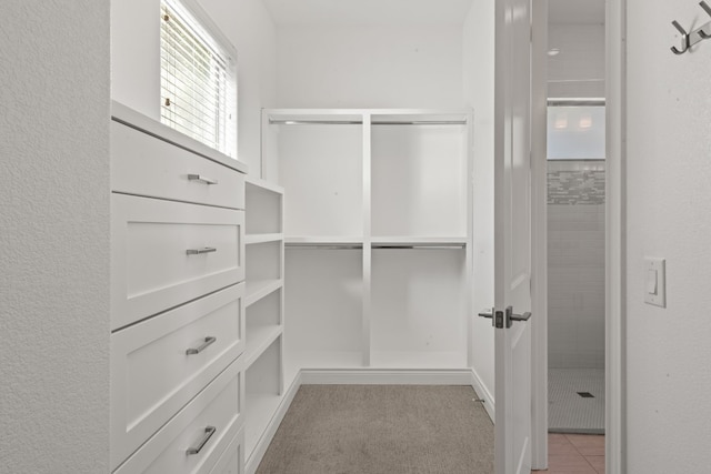 walk in closet with light colored carpet