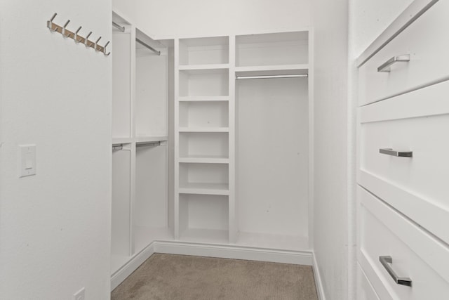 spacious closet with light colored carpet