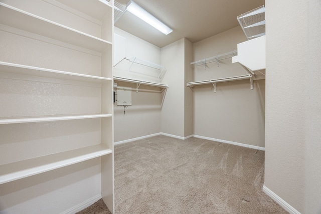 walk in closet featuring carpet floors