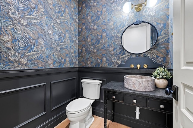 bathroom featuring vanity, wood-type flooring, and toilet