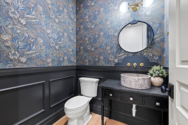 1318 Country Side Bnd, Fredericksburg, TX 78624 - half bathroom featuring wallpapered walls, a wainscoted wall, toilet, vanity, and wood finished floors
