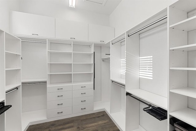 spacious closet with dark wood-type flooring