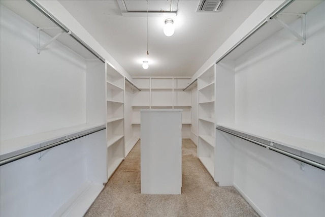 walk in closet with light carpet