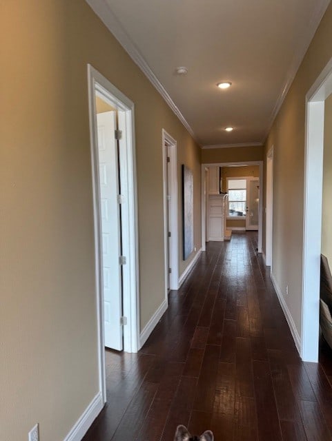 corridor with crown molding and dark hardwood / wood-style flooring