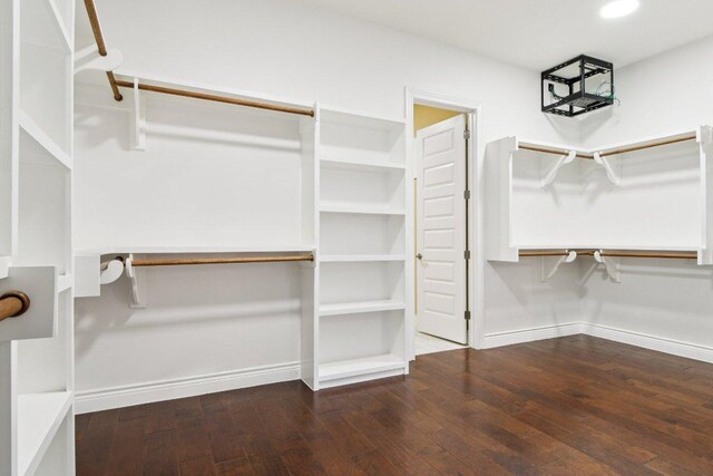 124 Abamillo Dr, Bastrop, TX 78602 - spacious closet with hardwood / wood-style floors