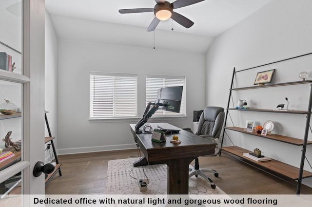 office featuring dark hardwood / wood-style flooring, vaulted ceiling, and ceiling fan