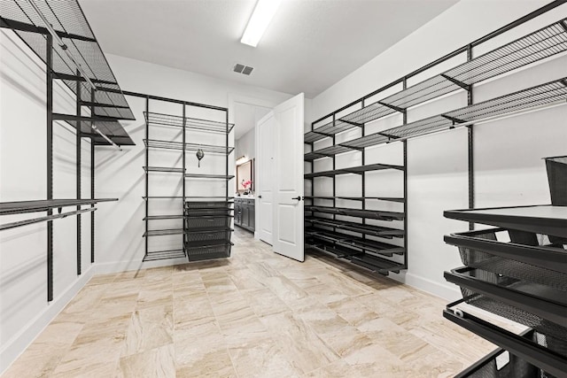 132 Drawing Maple St, San Marcos, TX 78666 - view of spacious closet