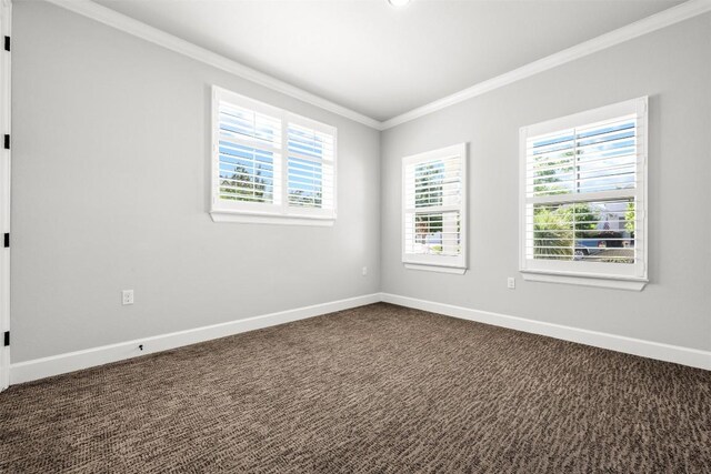 empty room with crown molding, dark colored carpet, baseboards, and a healthy amount of sunlight