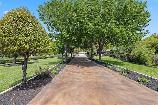 view of community with a lawn