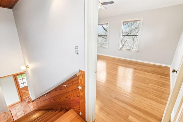 stairway with ceiling fan and hardwood / wood-style floors