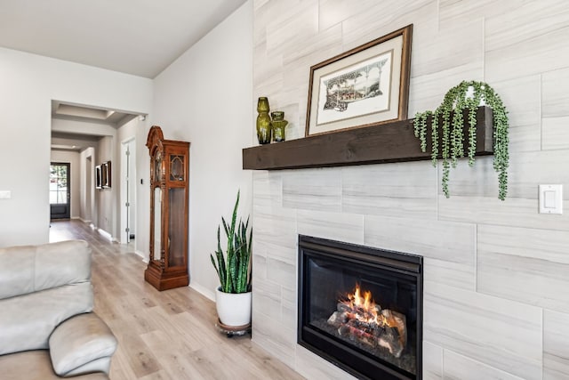 living room featuring a fireplace and light hardwood / wood-style floors