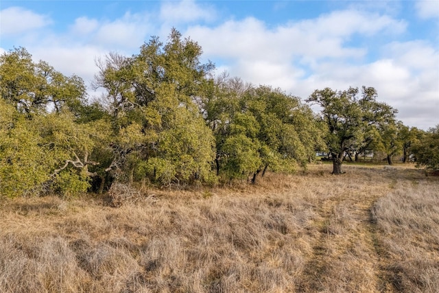 view of landscape featuring a rural view