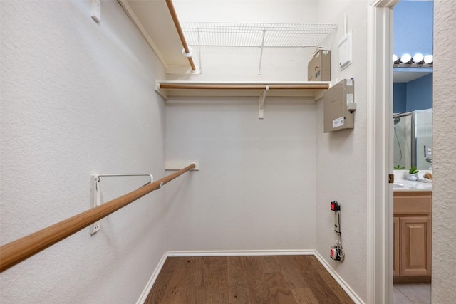 walk in closet with wood-type flooring