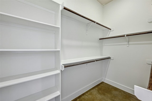 view of spacious closet