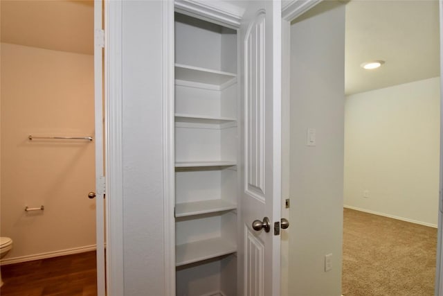 view of closet