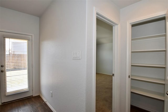 interior space featuring dark hardwood / wood-style flooring