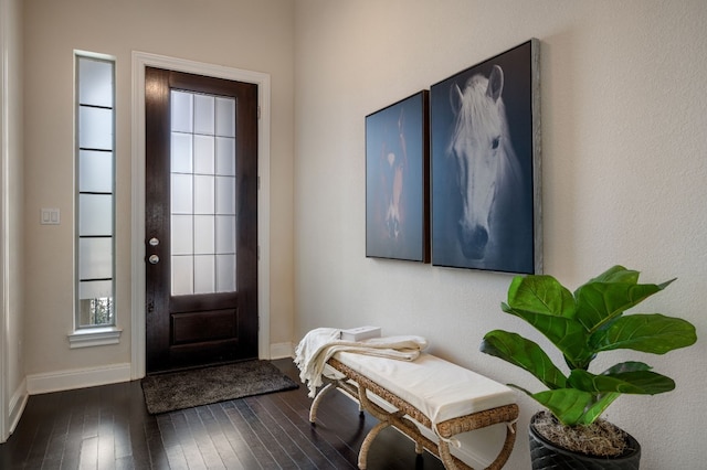 entrance foyer with dark hardwood / wood-style floors