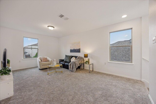 11009 Roderick Lawson Ln, Austin, TX 78754 - carpeted living room featuring baseboards