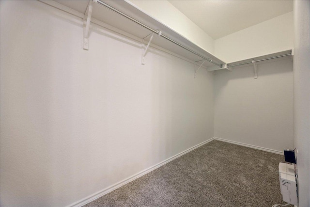 11009 Roderick Lawson Ln, Austin, TX 78754 - spacious closet featuring carpet