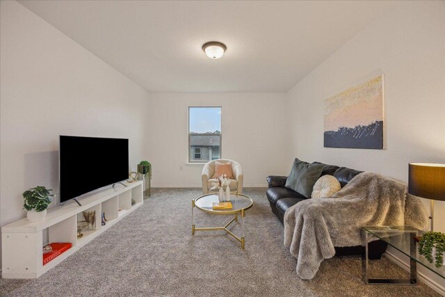 11009 Roderick Lawson Ln, Austin, TX 78754 - photo 27
