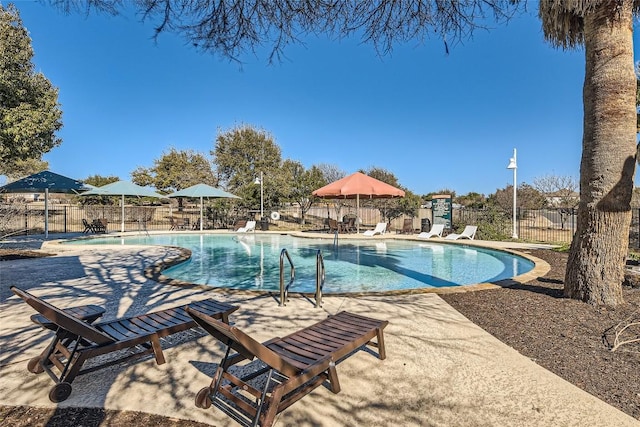 view of pool with a patio area